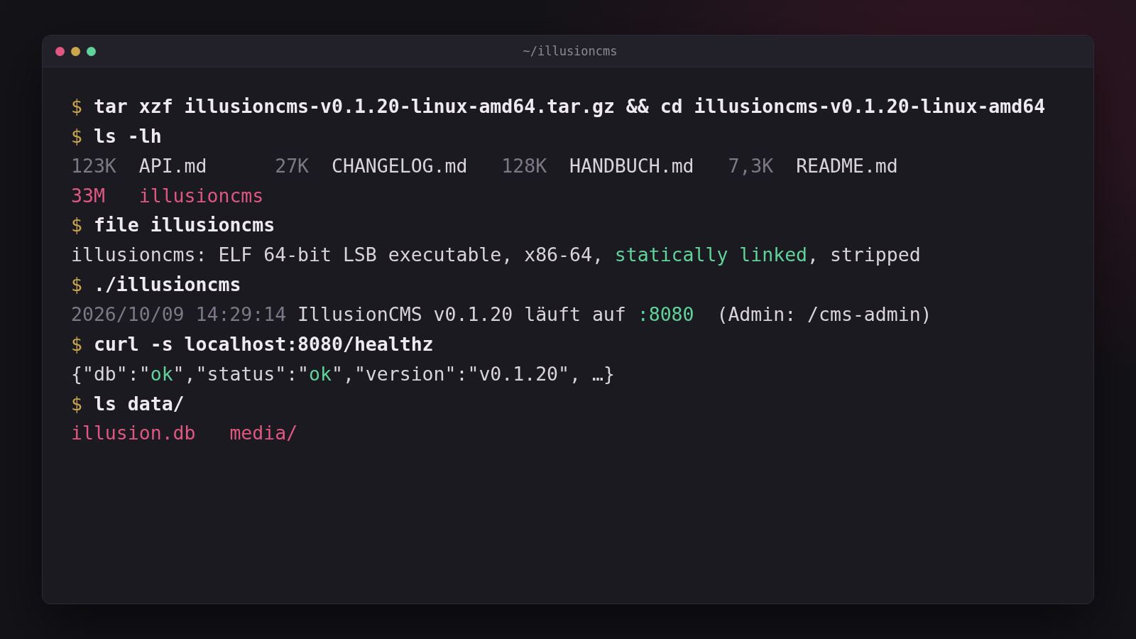 Terminal: IllusionCMS entpacken und starten – ein statisch gelinktes Binary, Daten in illusion.db und media/
